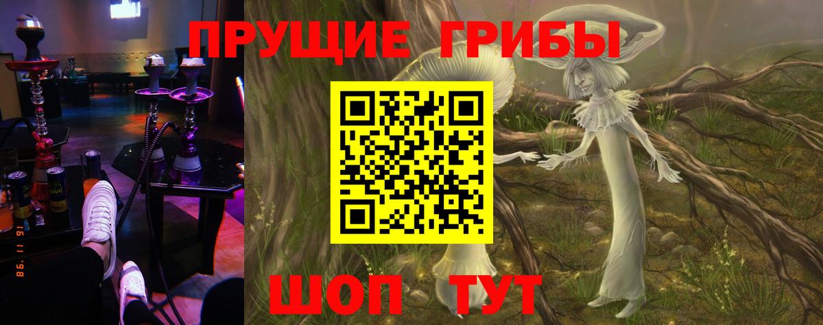 Галлюциногенные грибы прущие грибы  Вход с VPN  Северск 